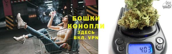 МДПВ Новодвинск