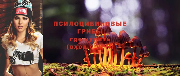 МДПВ Новодвинск