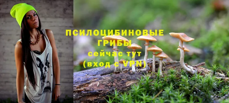 Галлюциногенные грибы Magic Shrooms  закладка  Макушино 