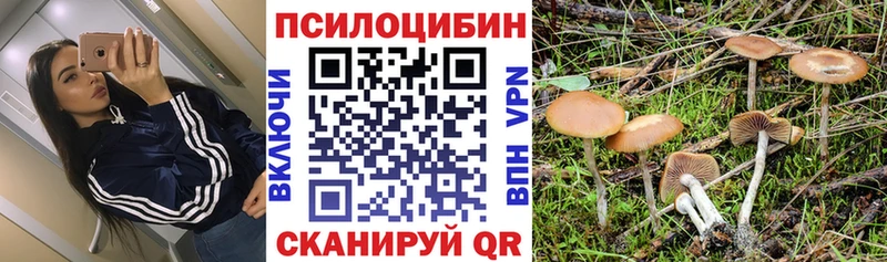 Галлюциногенные грибы Psilocybine cubensis  Макушино 